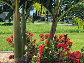 Property grounds - Tranquil Canal Front Villa in Golfers Paradise: Peaceful 3-BDR (Rotonda West)