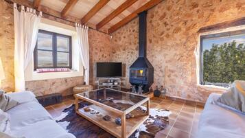 Tv, eldstad, dvd-spelare och en stereo