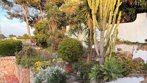 Um jardim com diversas plantas, um cacto e um muro de pedra.