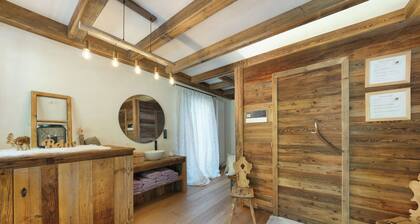 Apartment "Unterurbanhof Die Zwei" with mountain view, terrace with garden and sauna.