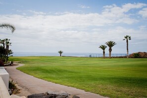 A golf course with a pathway, palm trees, and a view of the ocean.