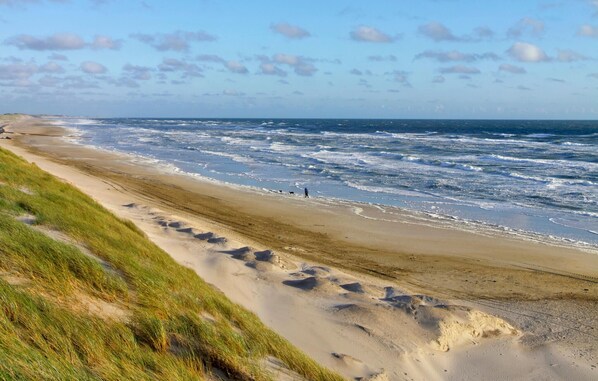 Plage à proximité, pêche récréative