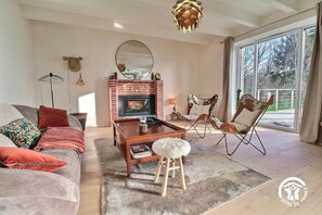 TV, fireplace, books