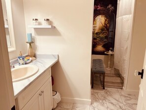 Hair dryer, towels, soap, shampoo