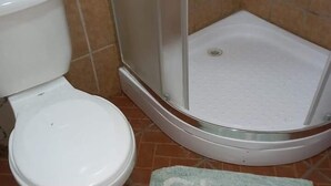 Un baño con inodoro, ducha y un tapete en el suelo.