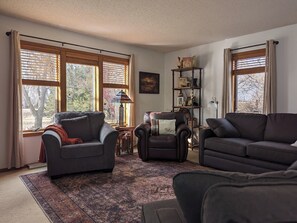 Smart TV, fireplace, video games, DVD player