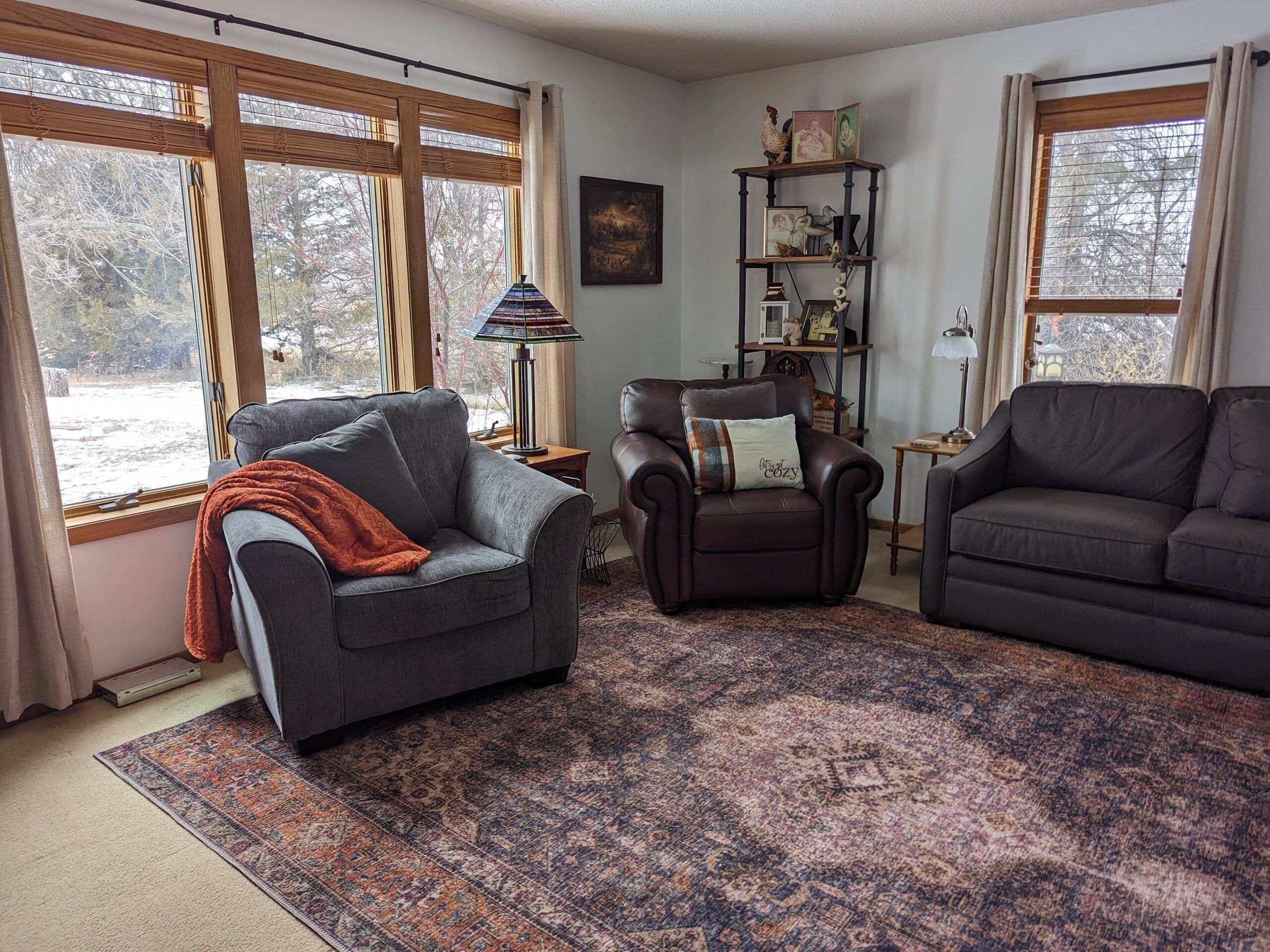 智能電視、壁爐、電子遊戲、DVD 播放機