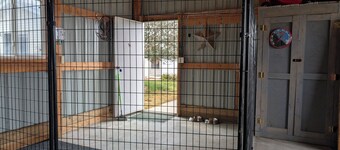 Family Friendly Cozy Farmhouse close to public hunting lands