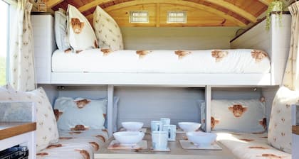 Curly Cow is a marvellous shepherd’s hut that sleeps up to four people.