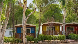 Deux cabanes, numérotées 351 et 352, entourées d’arbres et bordées d’un chemin de gravier.
