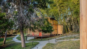 Una cabaña de madera con terraza, rodeada de bambú y pinos, con un camino de grava que lleva a ella.