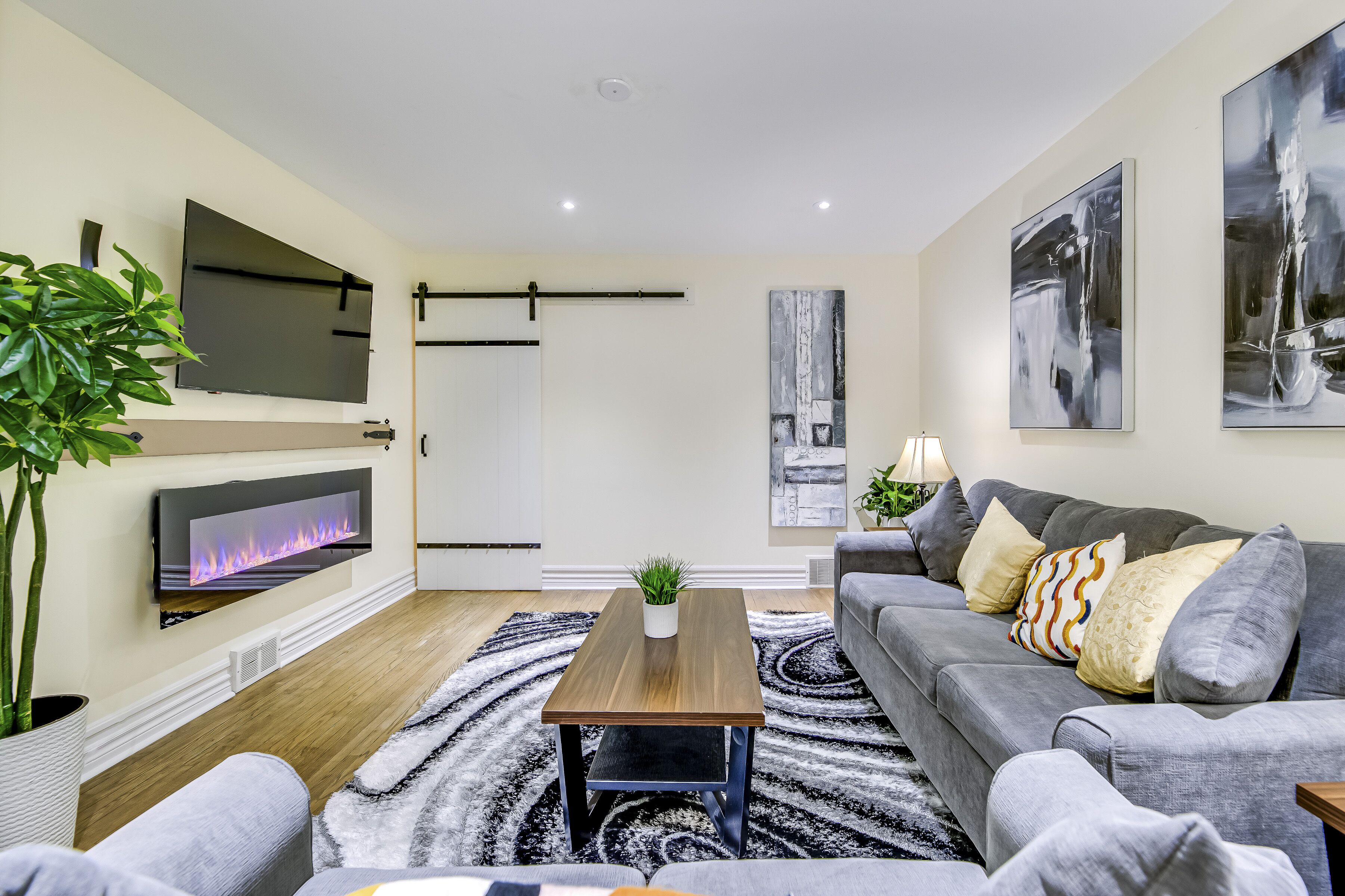 智能電視、壁爐、書籍