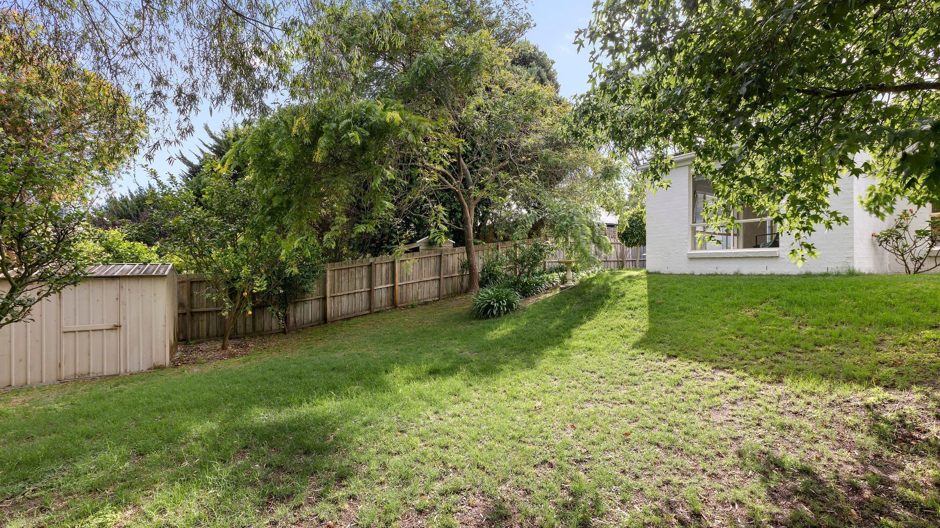 A backyard with a wooden fence, a shed, and a lawn.