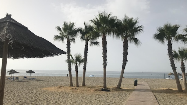 Une plage bordée de palmiers, avec une promenade en bois et des parasols de plage.