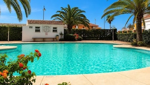 Une piscine bordée de palmiers, un petit bâtiment avec une enseigne, et un ciel bleu azur.