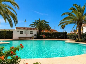 Une piscine bordée de palmiers, un petit bâtiment avec une enseigne, et un ciel bleu azur.