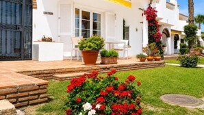 Un bâtiment blanc avec une porte noire, des plantes en pot et un petit espace patio.