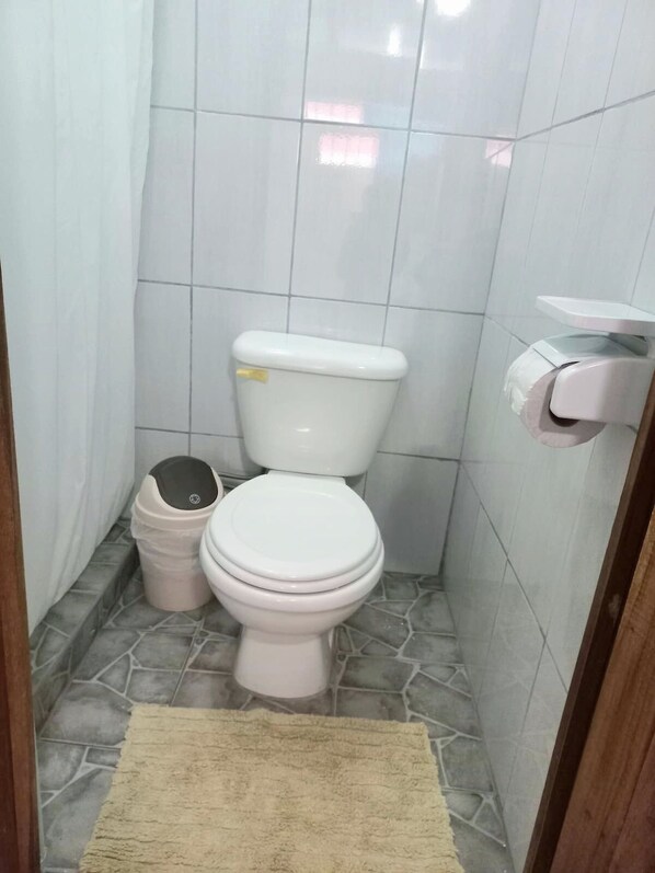 Un baño pequeño con inodoro, un cubo de basura y un dispensador de papel higiénico.