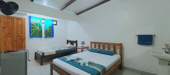 Habitación con Aire Acompañante + Tour por los Canales del Parque Nacional