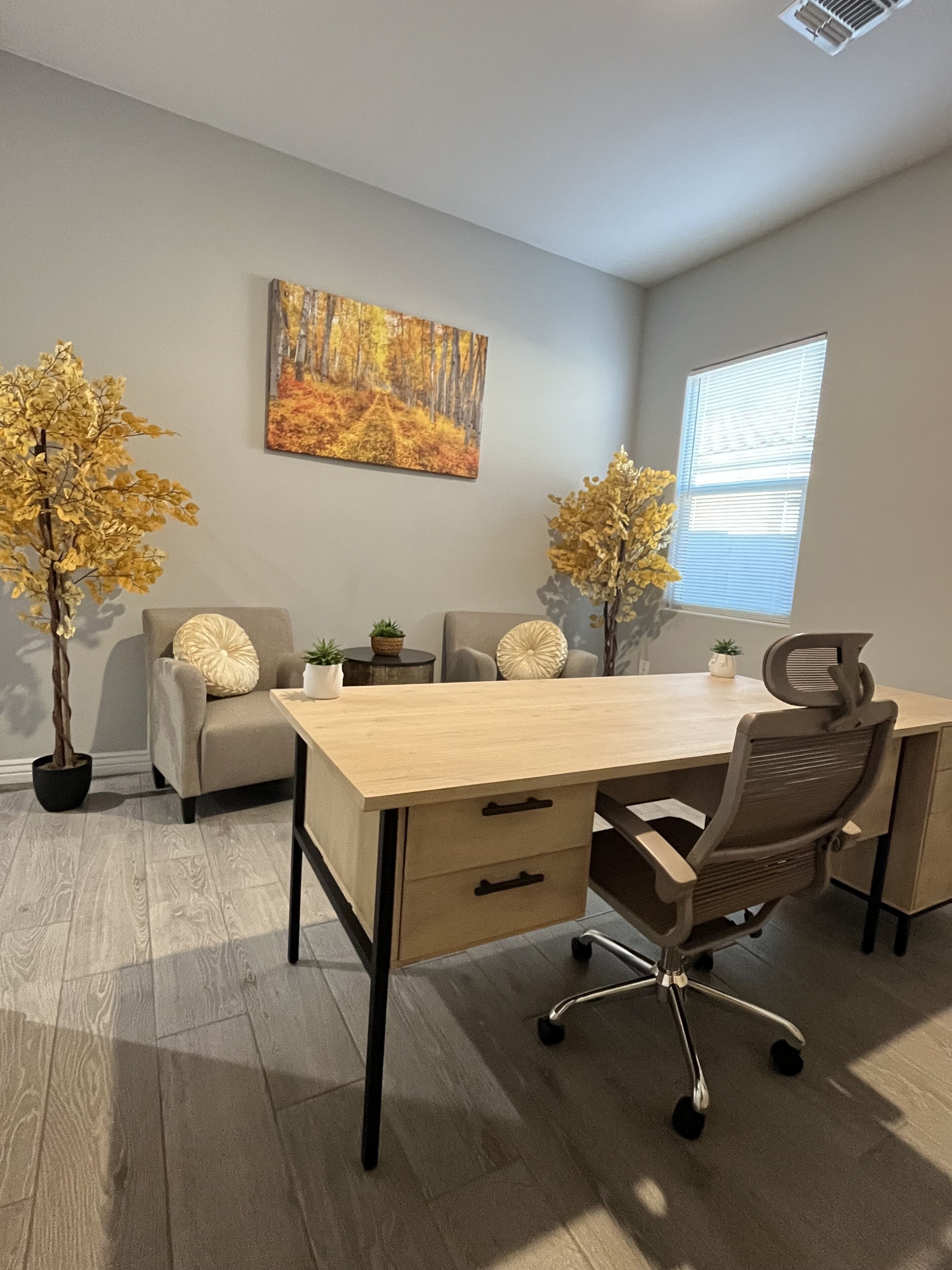 A modern office space with a wooden desk, two grey chairs, a sofa, and two potted plants.