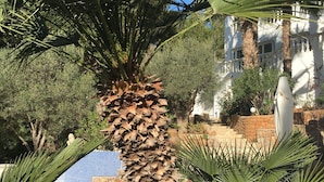 A courtyard with a palm tree, a stone wall, and a white umbrella. - Inmitten Eines Mediteranen Gartens, Terrassiert, Befindet Sich das Appartment (Santa Eulària des Riu)