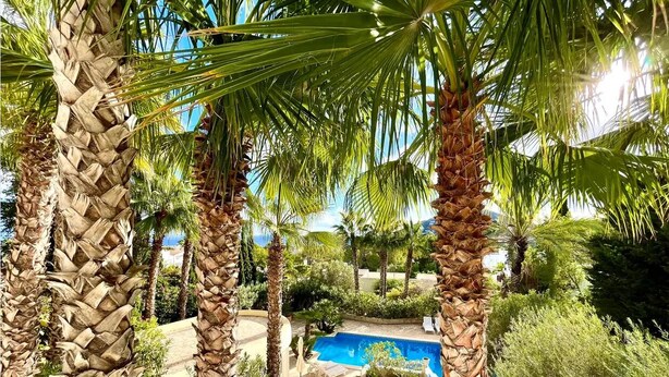 A pool surrounded by palm trees and greenery, with a clear blue sky in the background. - Inmitten Eines Mediteranen Gartens, Terrassiert, Befindet Sich das Appartment (Santa Eulària des Riu)