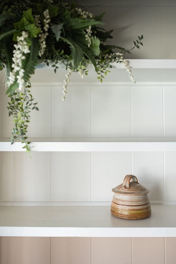 A kitchen with white cabinets and a hanging plant above the middle shelf.
