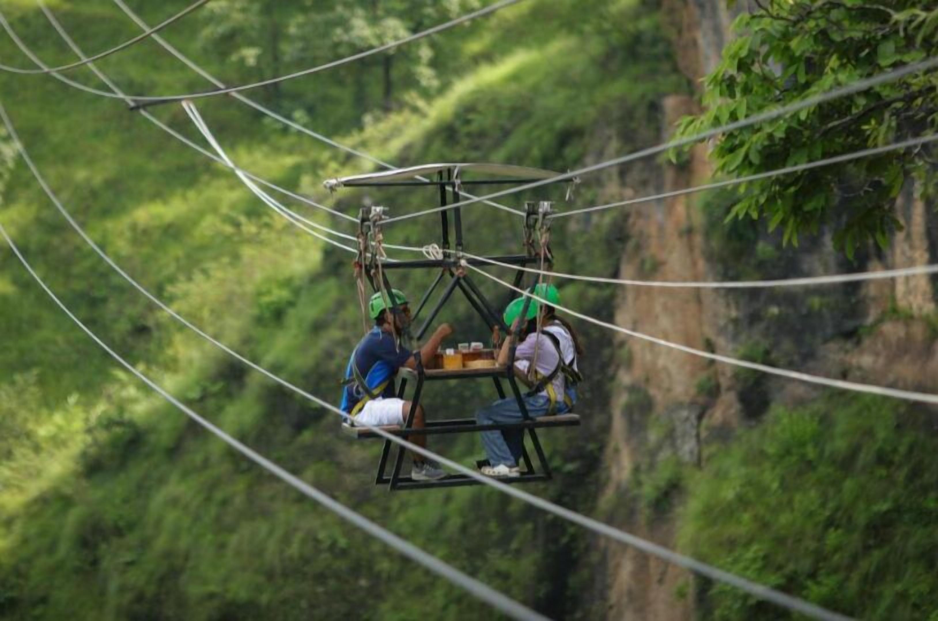 A group of people on a suspended platform with a cable car system, surrounded by lush greenery.