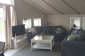 TV connectée, cheminée, lecteur de DVD