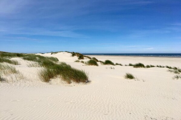 Vlak bij het strand