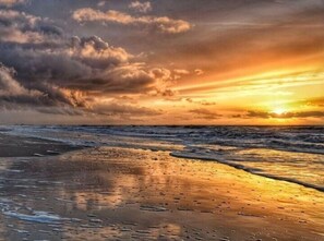 Nära stranden
