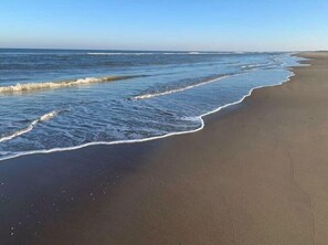 Nära stranden