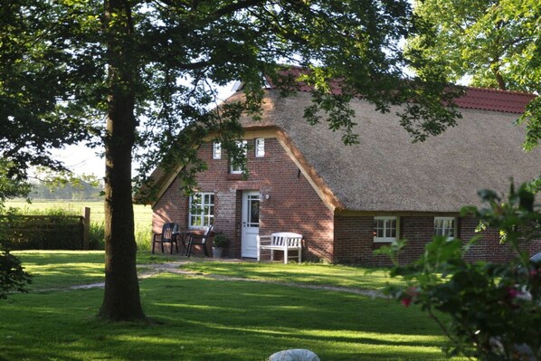 Esterni
