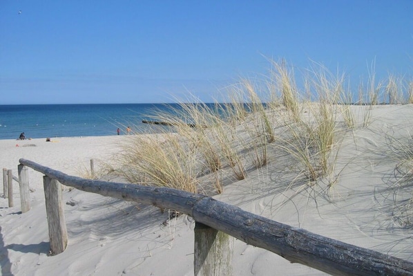 Nära stranden