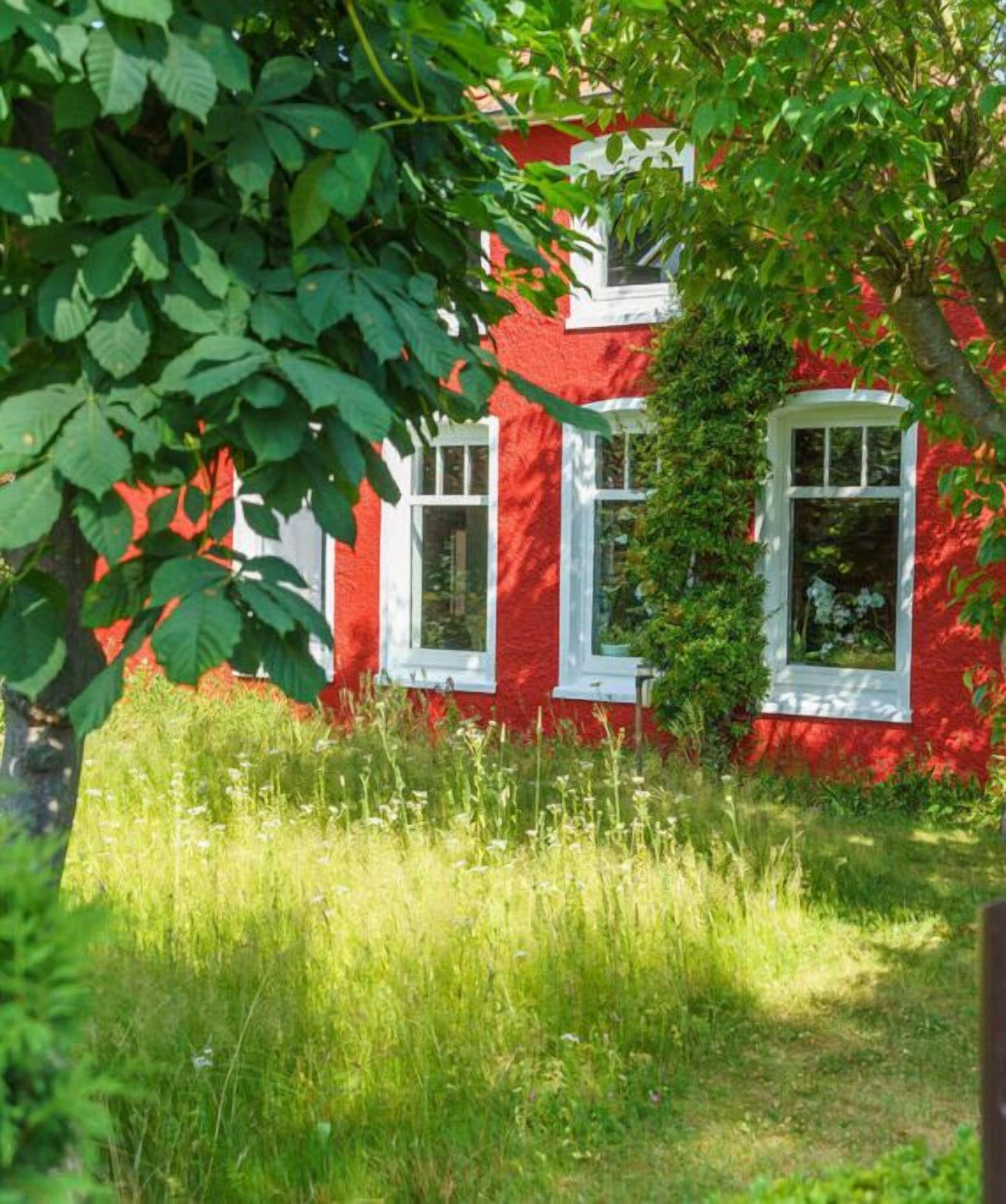 Àrea exterior de l'allotjament