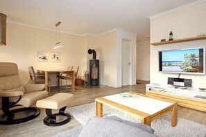 Télévision, cheminée, lecteur de DVD, chaîne hi-fi