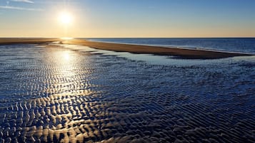 Playa en los alrededores