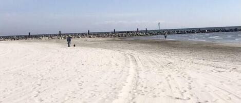 Playa en los alrededores