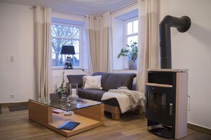 TV, fireplace, video games