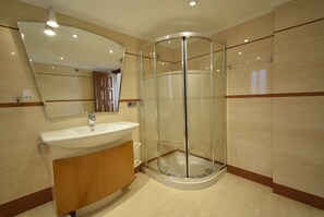 Shower, towels, toilet paper