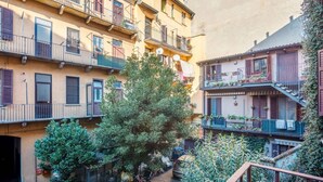 Une cour intérieure bordée d’immeubles à plusieurs étages, de balcons ornés de plantes et d’un arbre au centre.