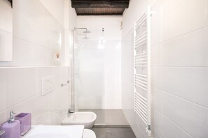Dusche, Haartrockner, Bidet, Handtücher