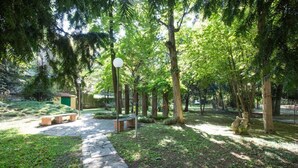 A stone pathway leading through a park with trees and a small structure.