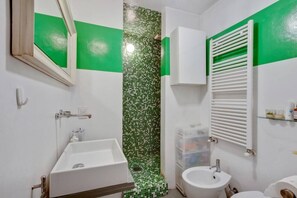 Shower, hair dryer, bidet, towels