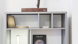 Een boekenplank met een boek getiteld 'BLIND VISION' en een decoratief houten object erboven.