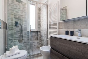 Shower, hair dryer, bidet, towels