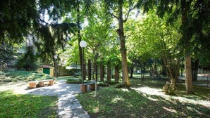 Un chemin de pierres qui traverse un parc arboré et mène à un petit bâtiment.