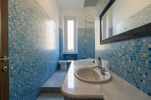 Shower, hair dryer, bidet, towels