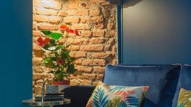 A room with a brick wall, a blue sofa, and a potted plant with red flowers.