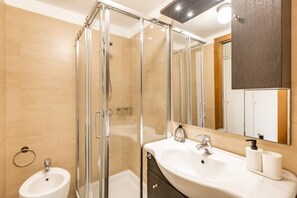 Shower, hair dryer, bidet, towels